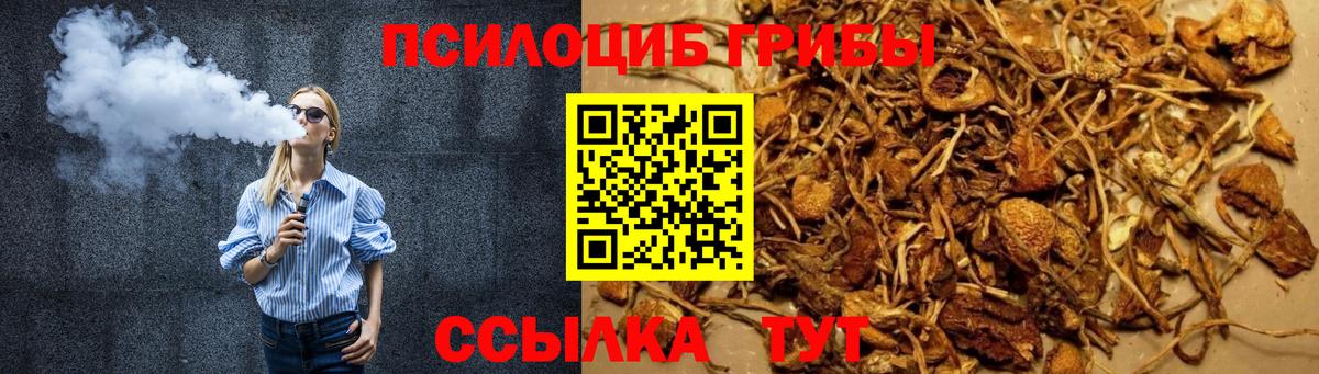 Галлюциногенные грибы Psilocybine cubensis  Вход с VPN  Псилоцибиновые грибы ЛСД  Лыткарино 